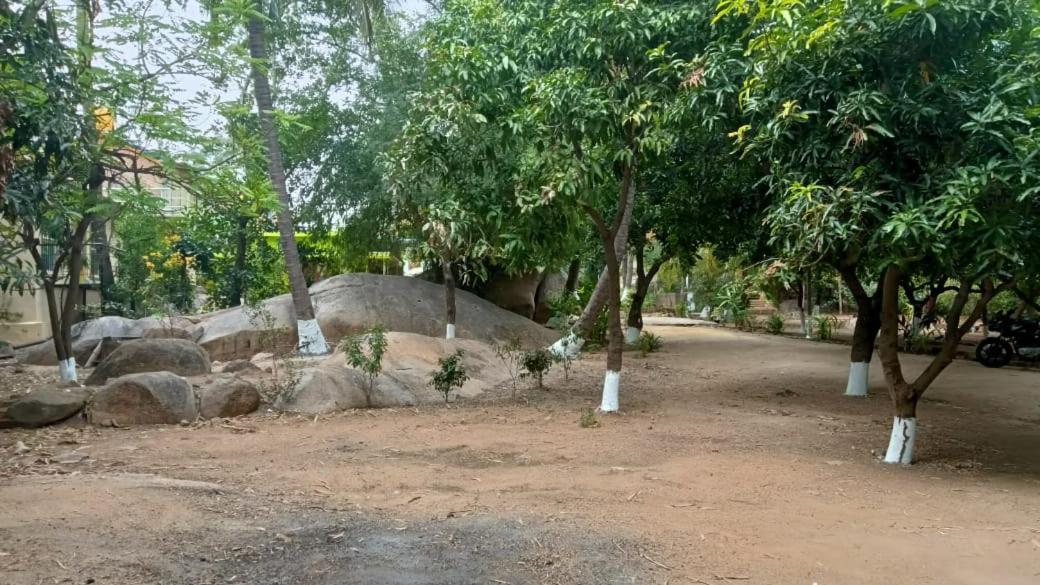 Shankar Homestay Hampi Eksteriør billede